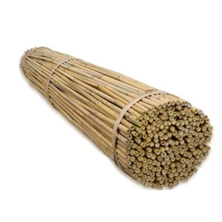 45cm Bamboo Cane (6-8mm)